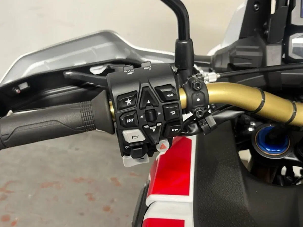Honda Africa Twin CRF 1100L Adventure Sports DCT (2024 - 26) (9)