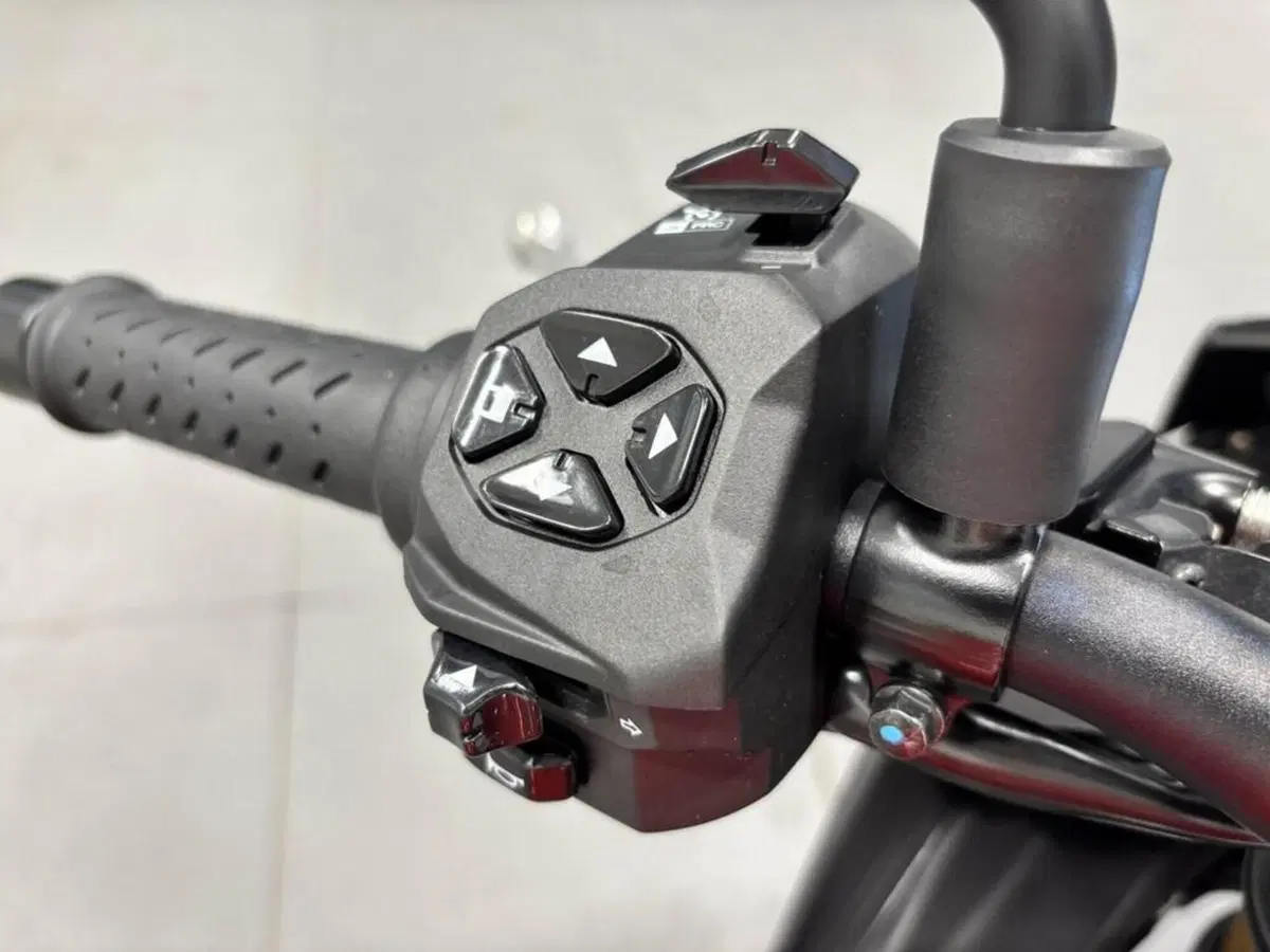 Aprilia Tuono V4 (2021 - 24) (6)