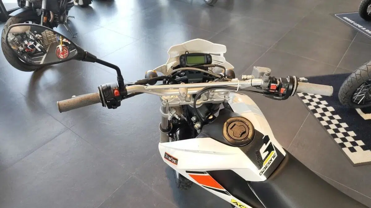 Betamotor Alp 4.0 (2008 - 17) (2)