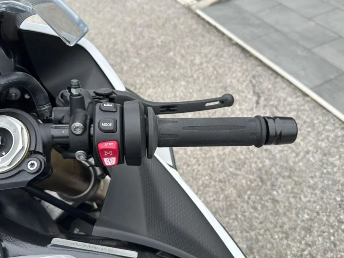 Bmw S 1000 RR (2023 - 24) (10)