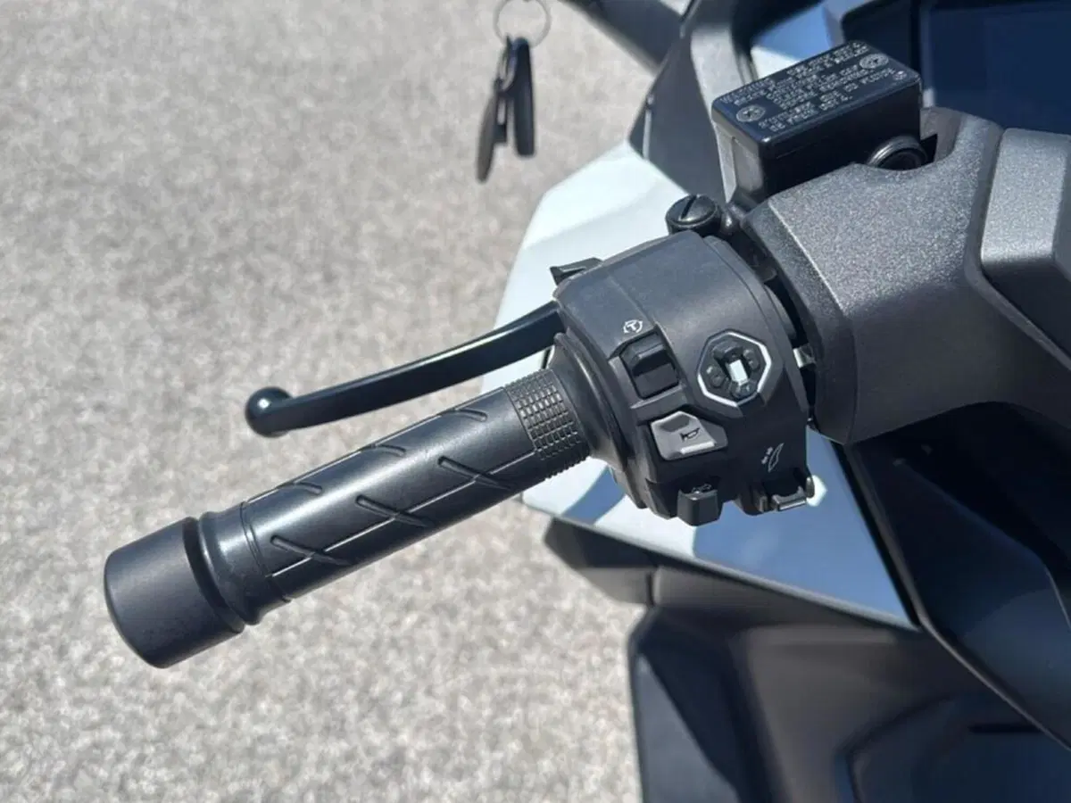 Honda Forza 350 Deluxe (2022 - 24) (8)