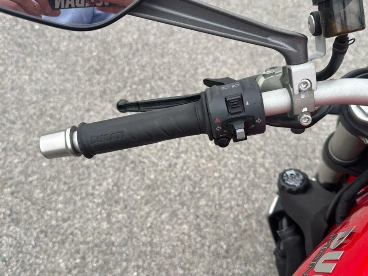 Ducati Monster 1200 (2014 - 16) (9)