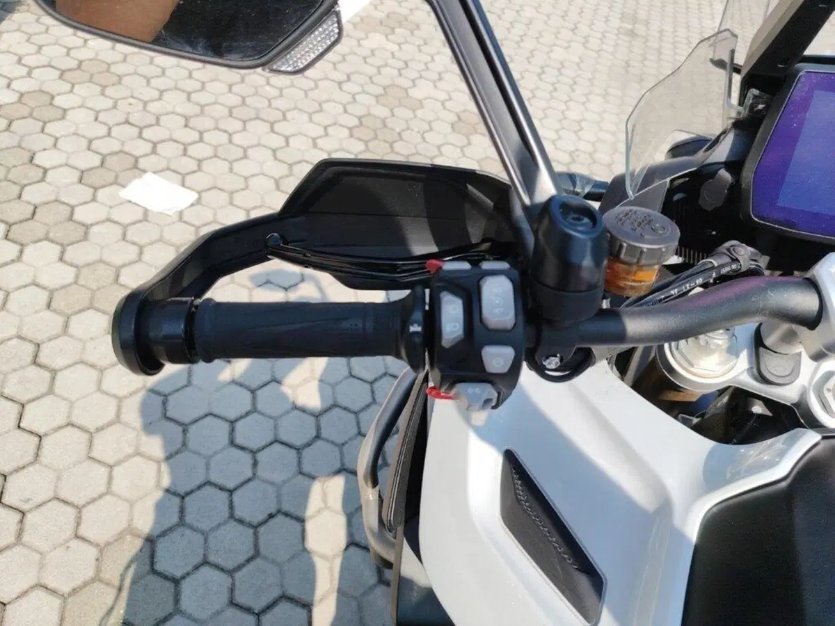 Triumph Tiger 1200 Rally Explorer (2022 - 23) (9)