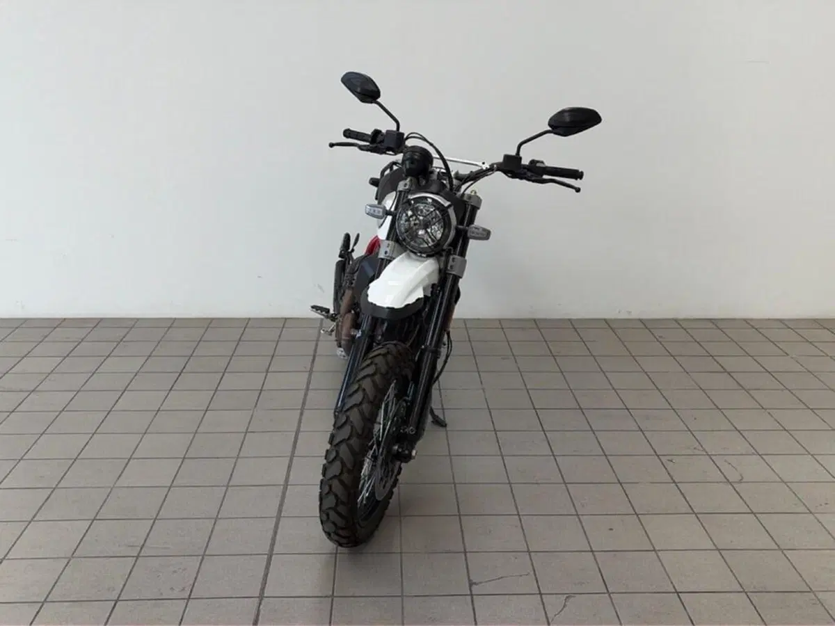 Ducati Scrambler 800 Desert Sled (2021 - 22) (2)