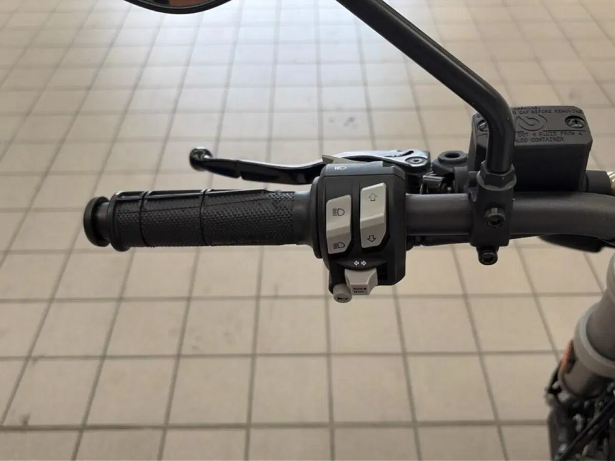 Ducati Scrambler 800 Desert Sled (2021 - 22) (7)