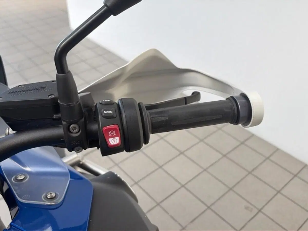 Bmw R 1250 GS Adventure (2019 - 20) (10)