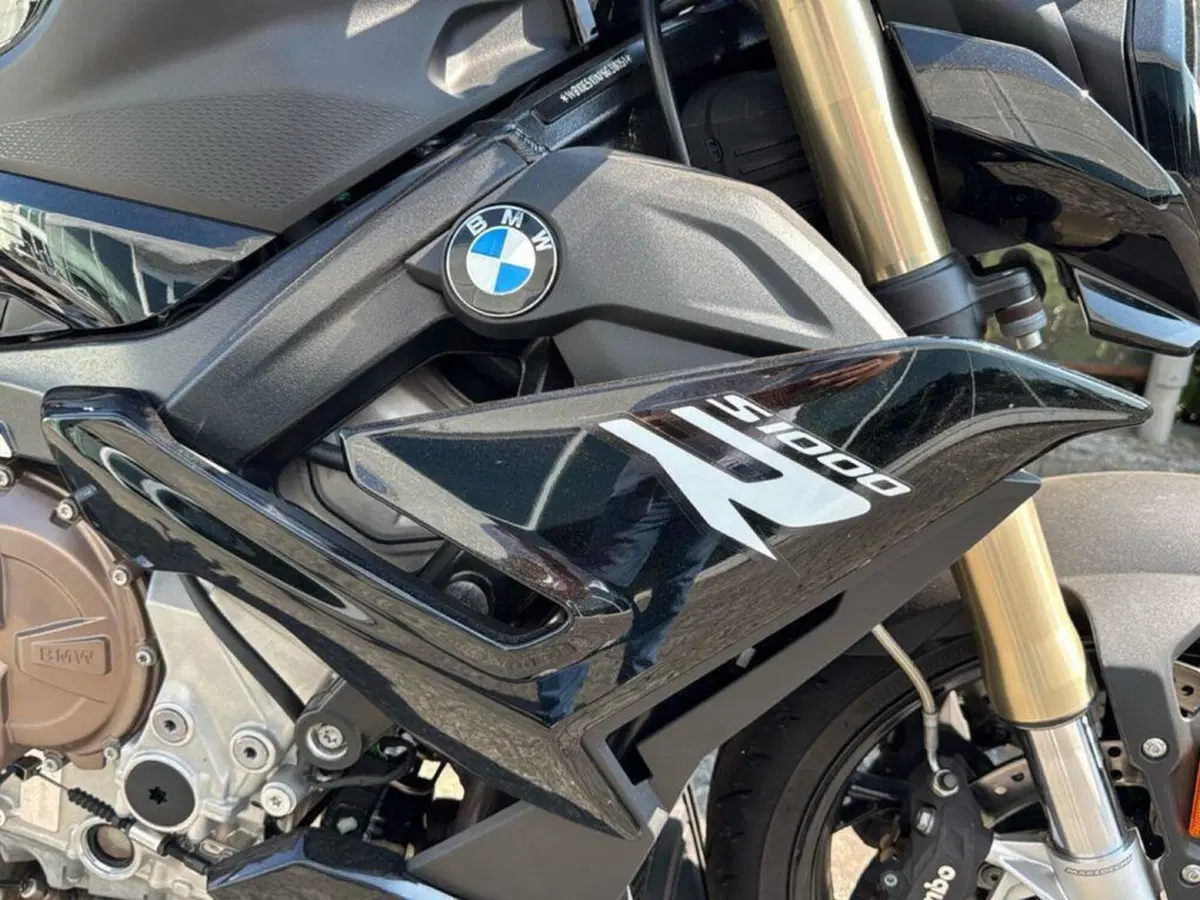 Bmw S 1000 R (2021 - 24) (13)