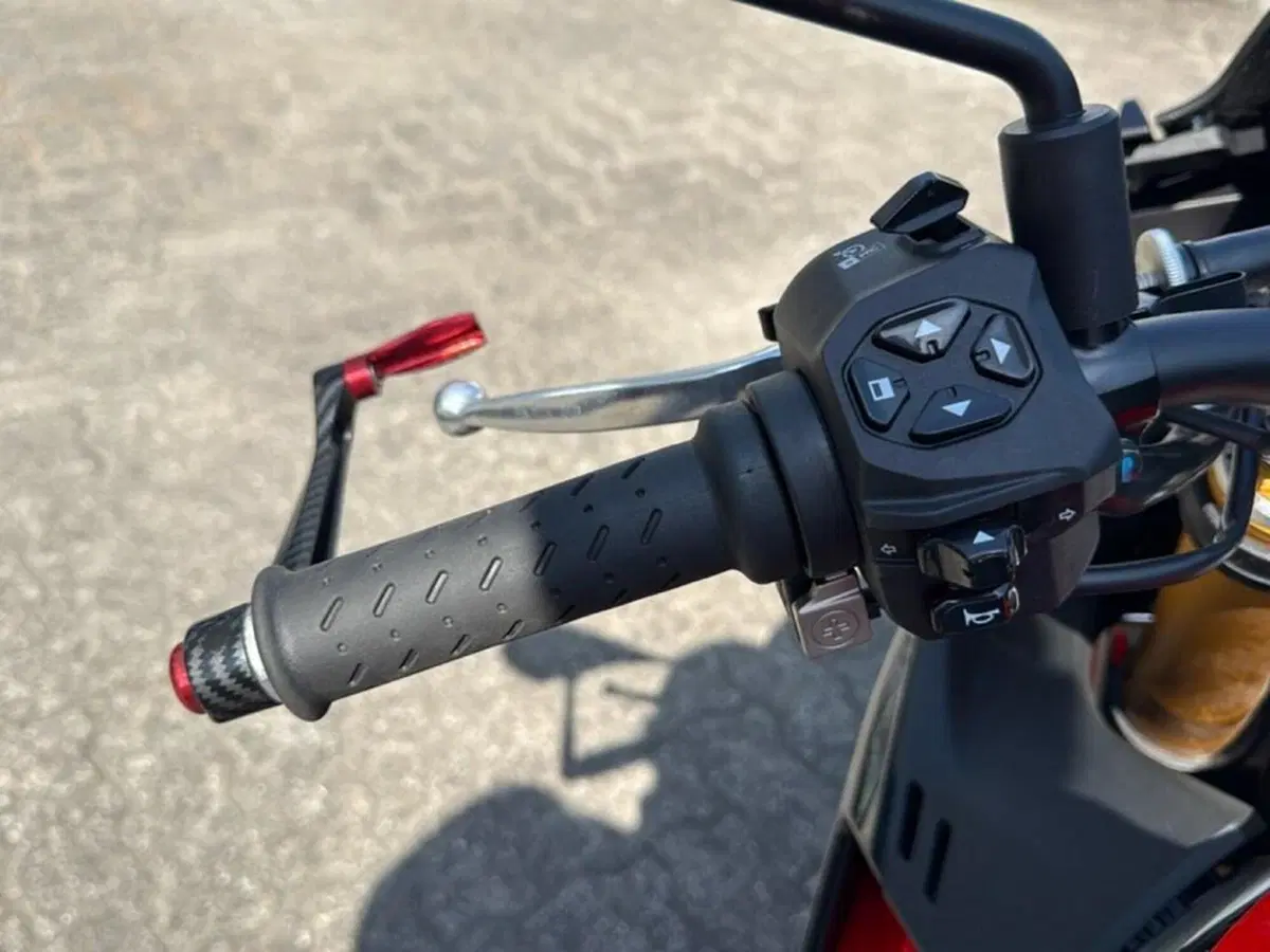 Aprilia Tuono V4 Factory (2021 - 24) (13)