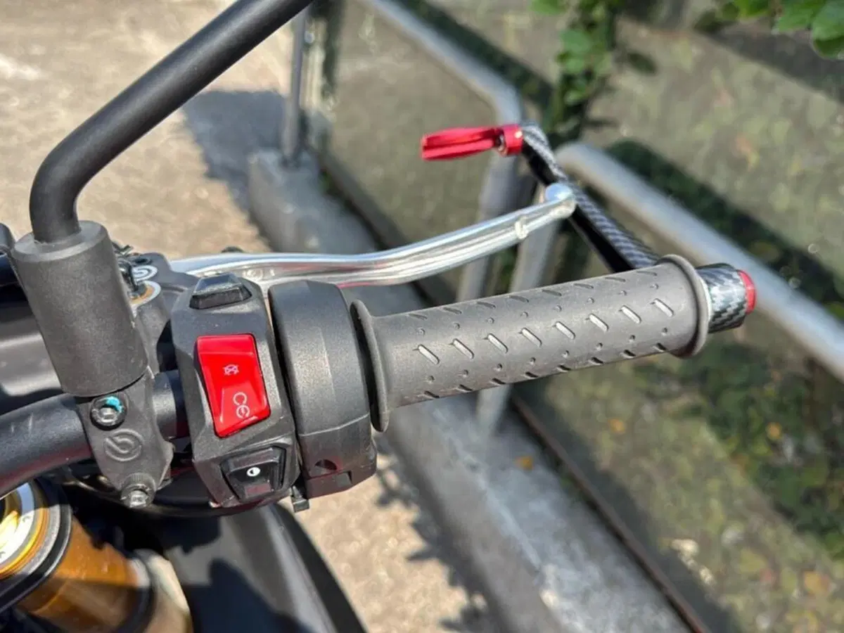 Aprilia Tuono V4 Factory (2021 - 24) (15)