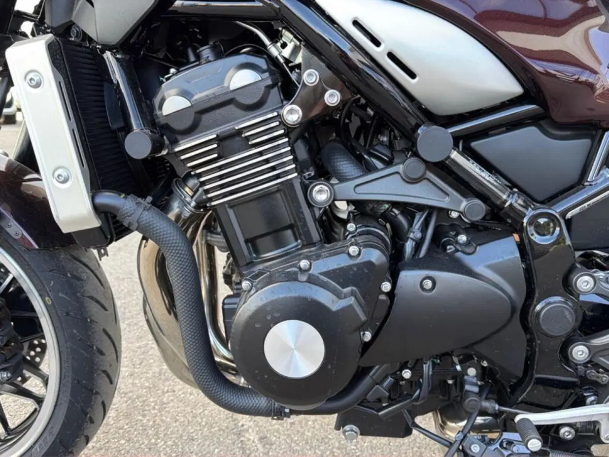 Kawasaki Z 900 RS (2022 - 25) (10)
