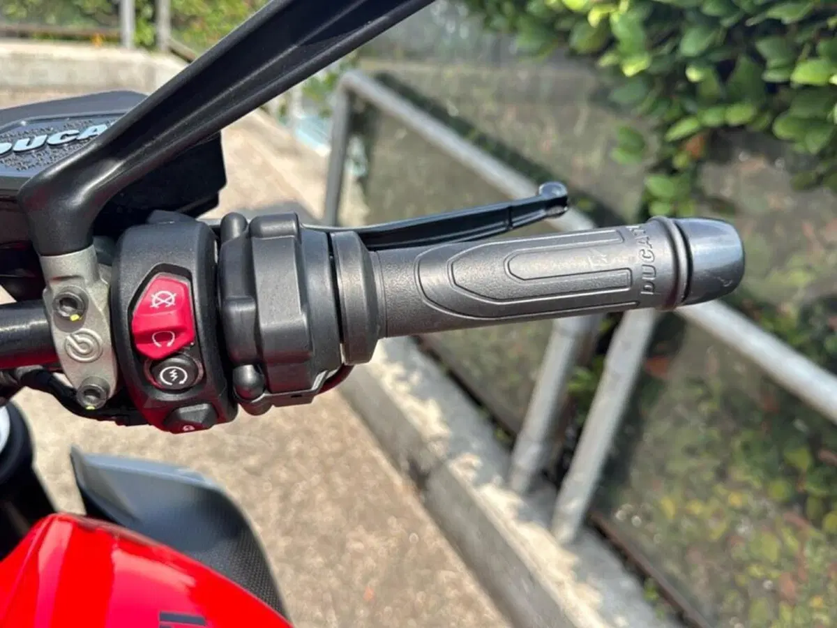 Ducati Diavel V4 (2023 - 26) (15)