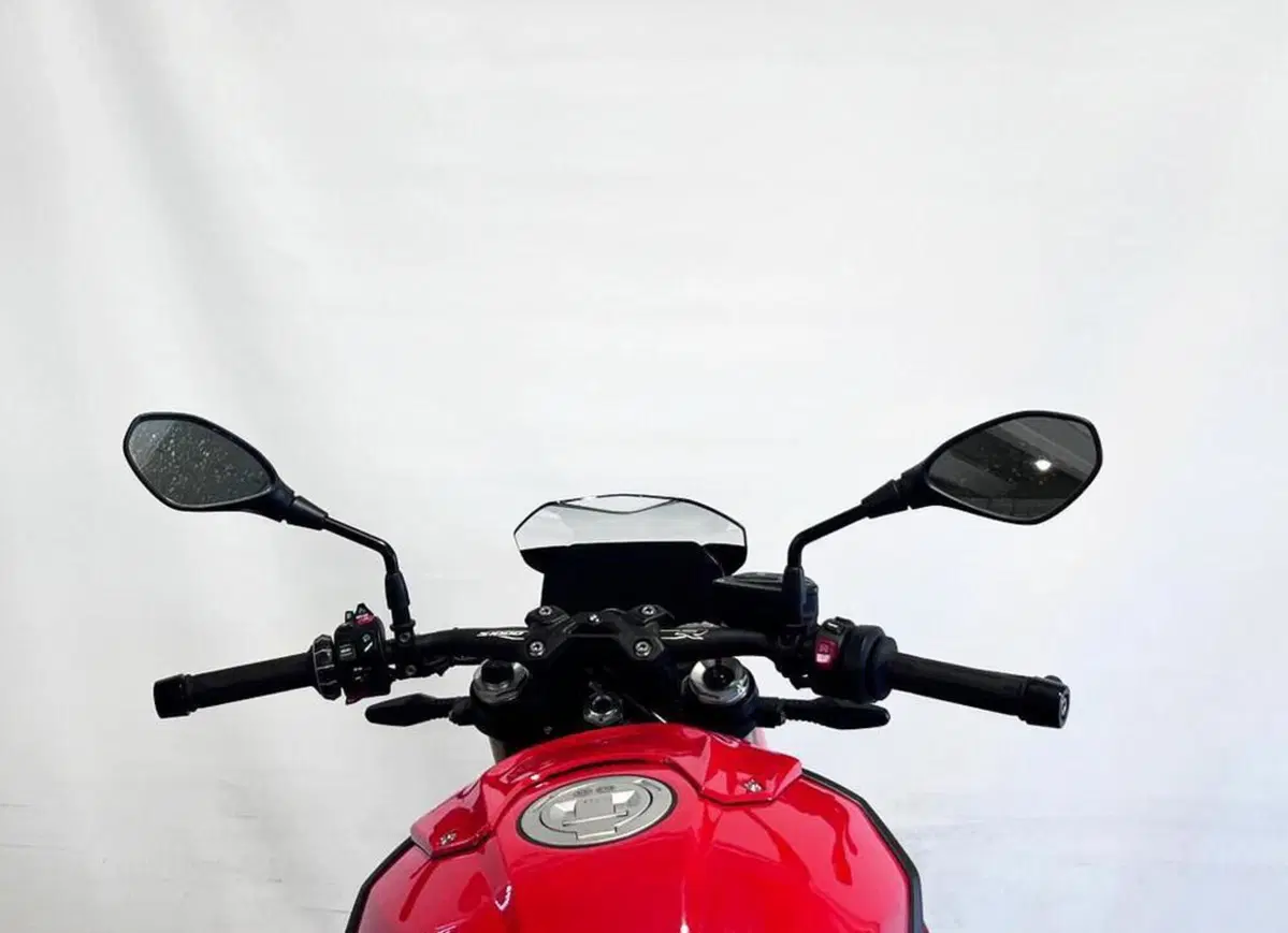 Bmw S 1000 R (2017 - 20) (5)