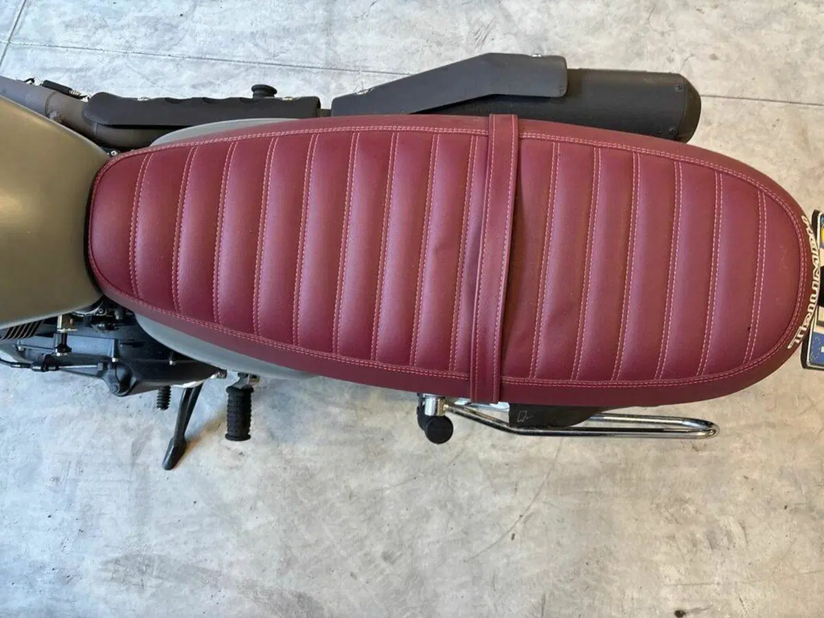 Triumph Scrambler (2006 - 17) (9)
