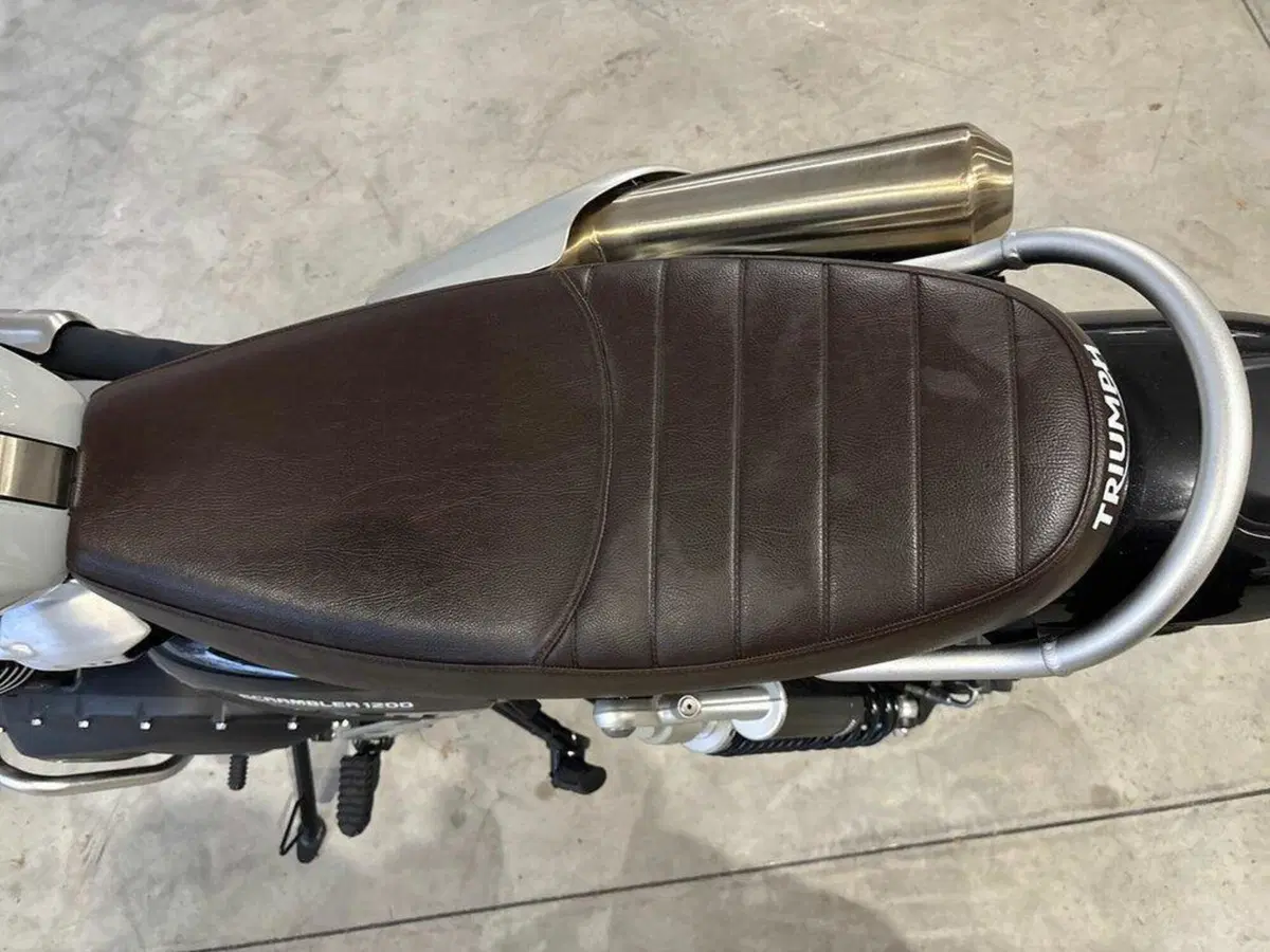 Triumph Scrambler 1200 X (2024 - 26) (9)