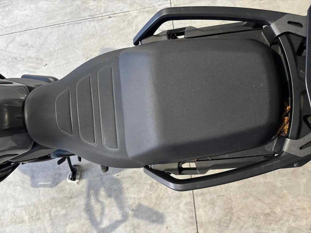 Harley-Davidson Pan America 1250 Special (2020 - 25) (9)