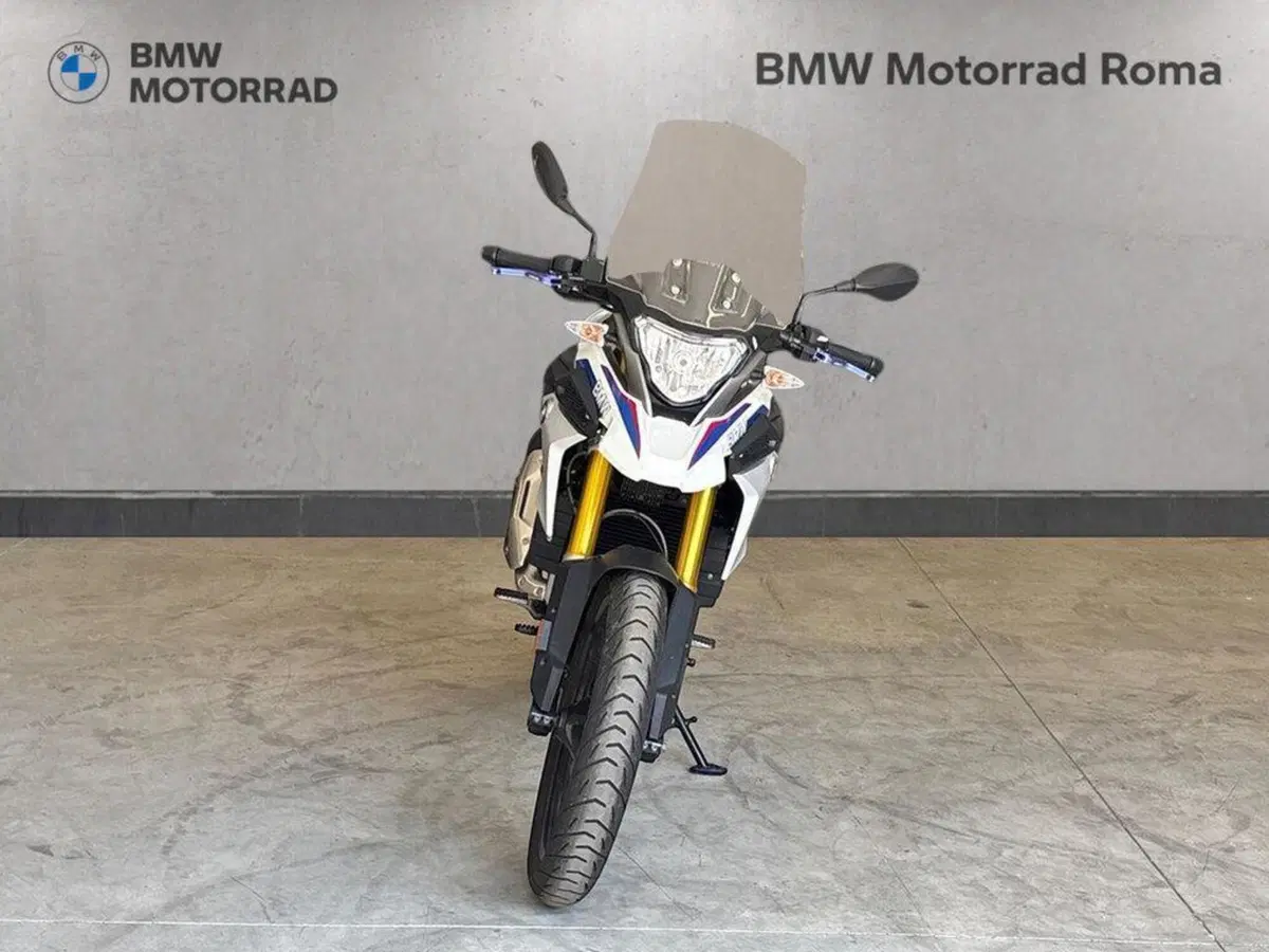 Bmw G 310 GS (2017 - 20) (3)