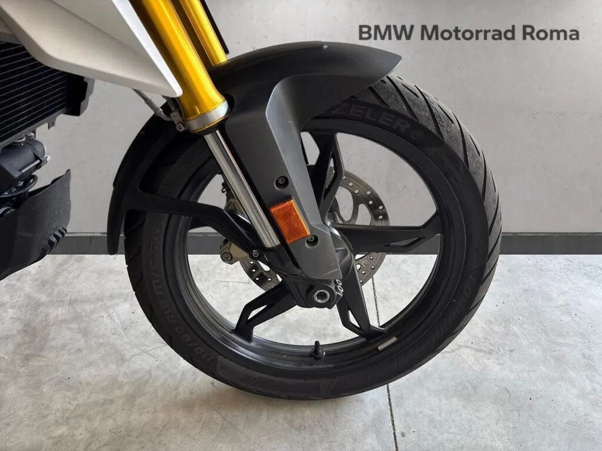 Bmw G 310 GS (2017 - 20) (5)