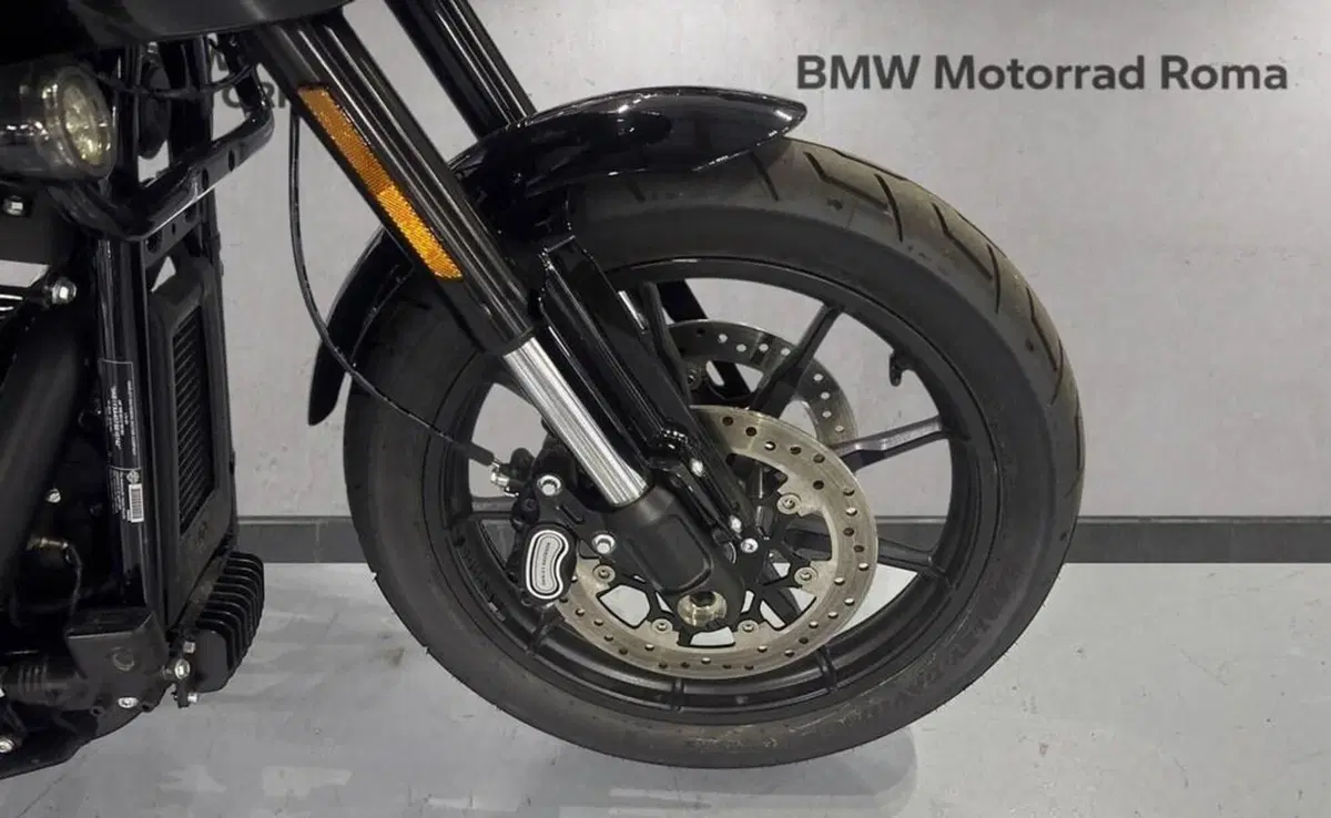 Harley-Davidson Low Rider ST (2025 - 26) (5)