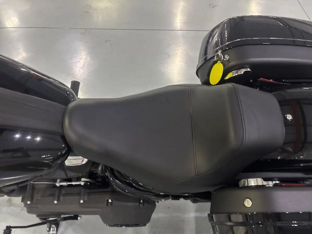 Harley-Davidson Low Rider ST (2025 - 26) (9)