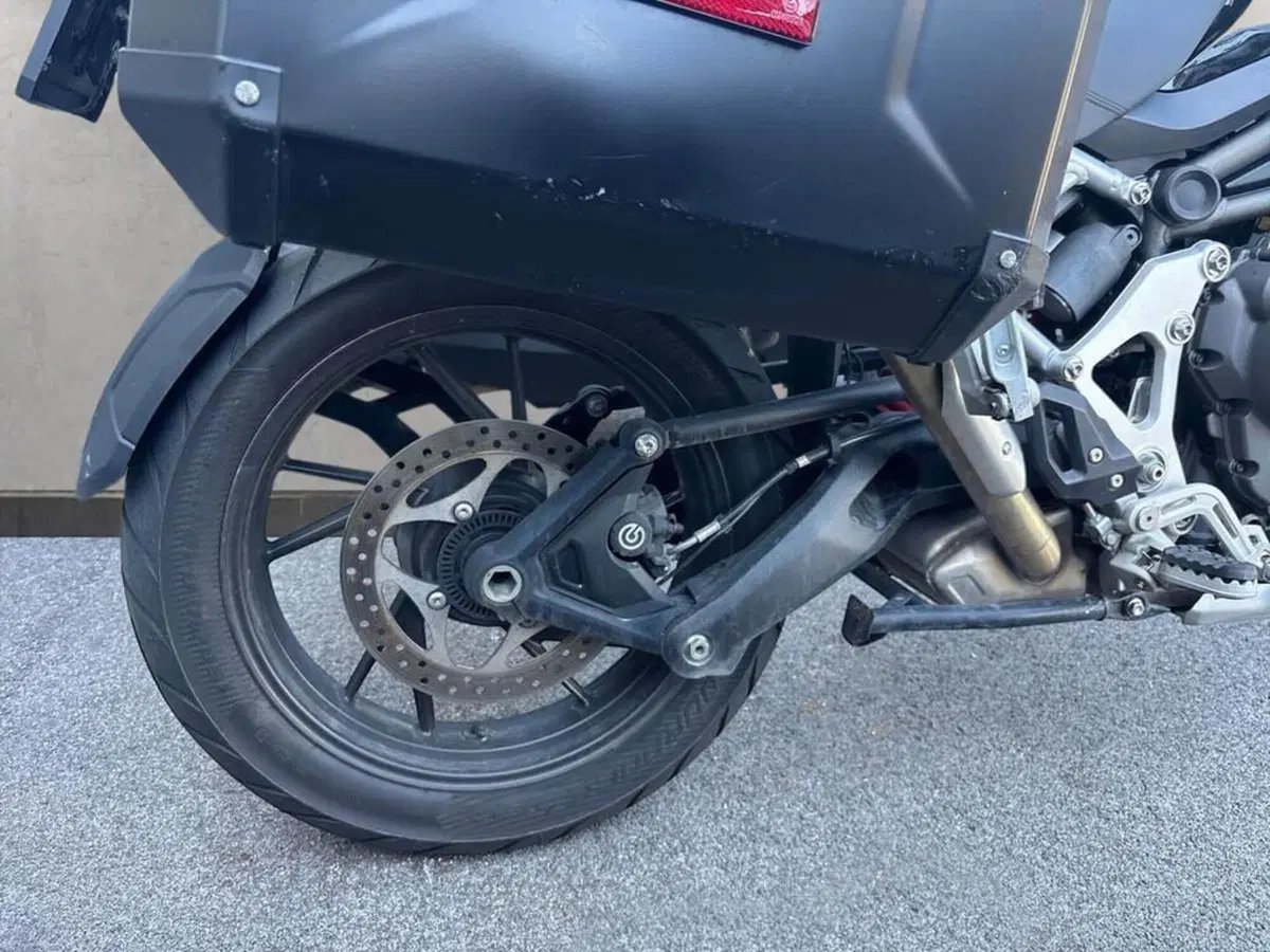 Triumph Tiger 1200 GT Pro (2022 - 23) (6)
