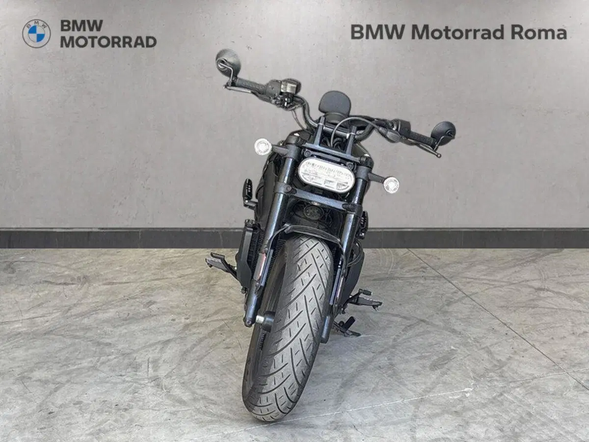 Harley-Davidson Sportster S (2022 - 24) (3)