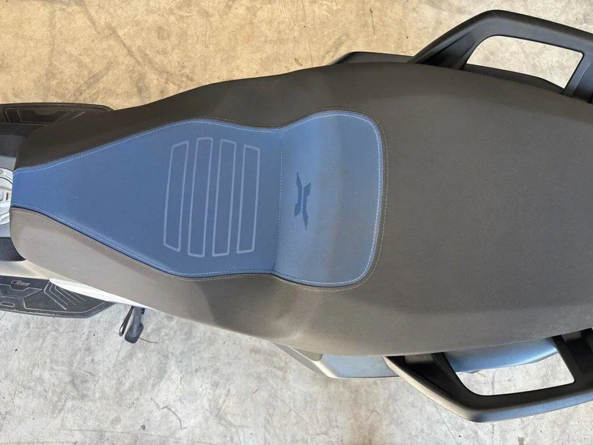 Bmw C 400 X (2021 - 24) (9)