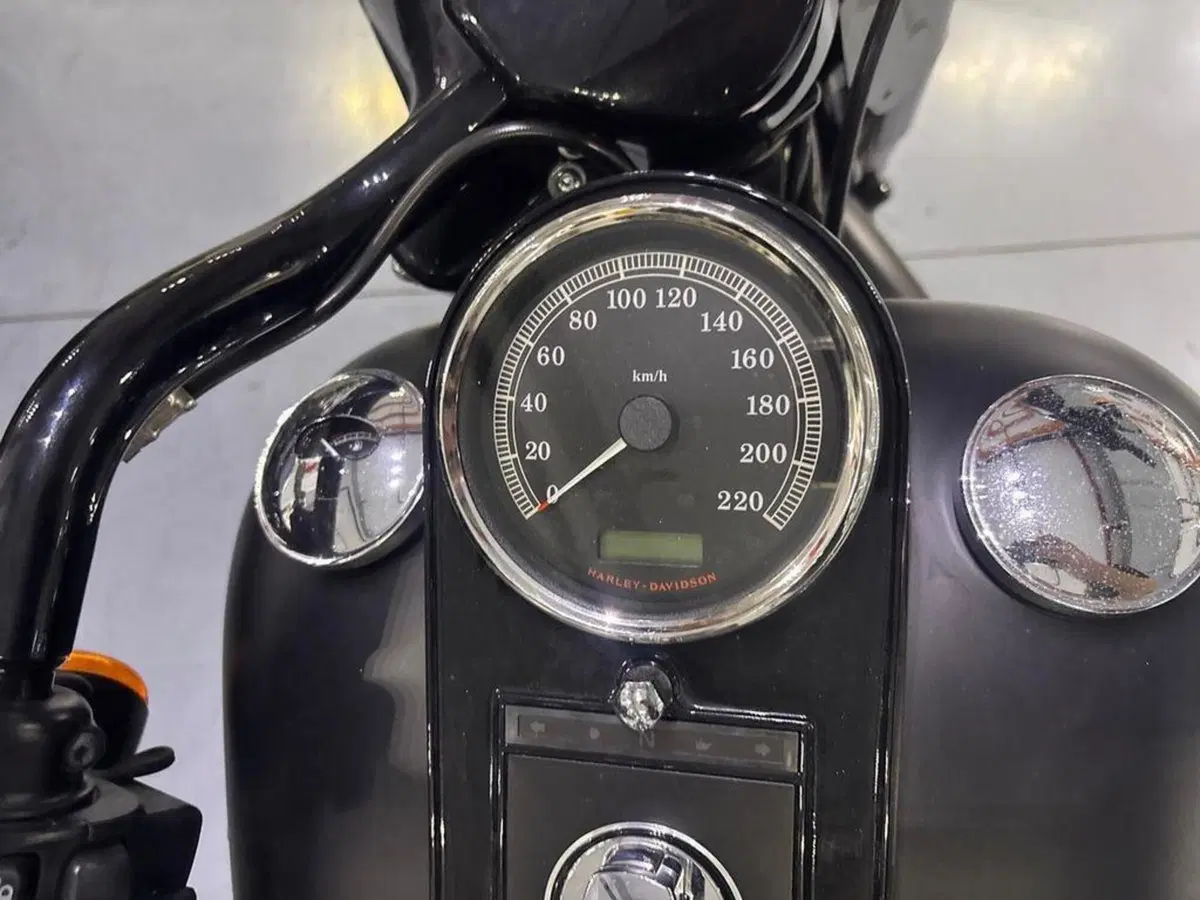 Harley-Davidson 1800 Fat Boy S (2015 - 17) - FLSTFS (8)