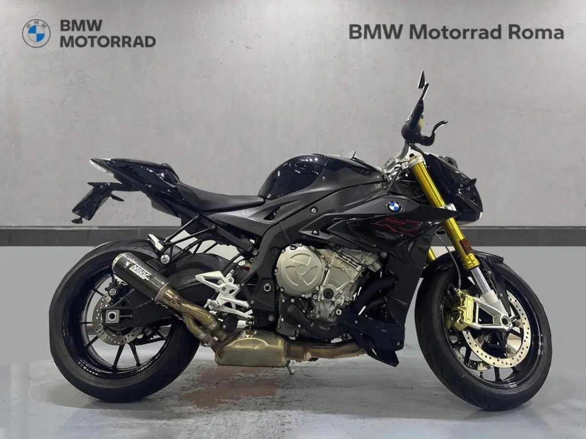 Bmw S 1000 R (2017 - 20) (2)