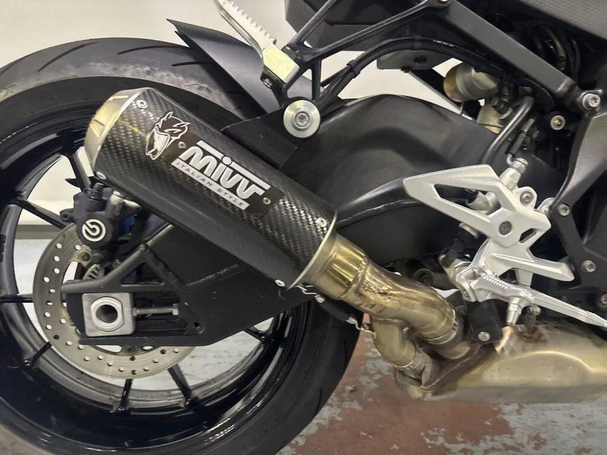 Bmw S 1000 R (2017 - 20) (10)