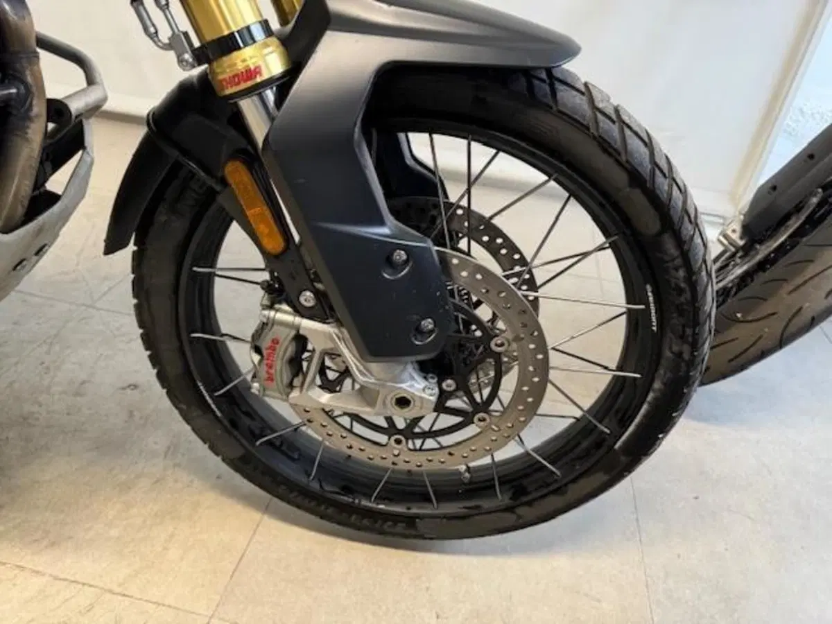Triumph Tiger 1200 Rally Pro (2022 - 23) (12)