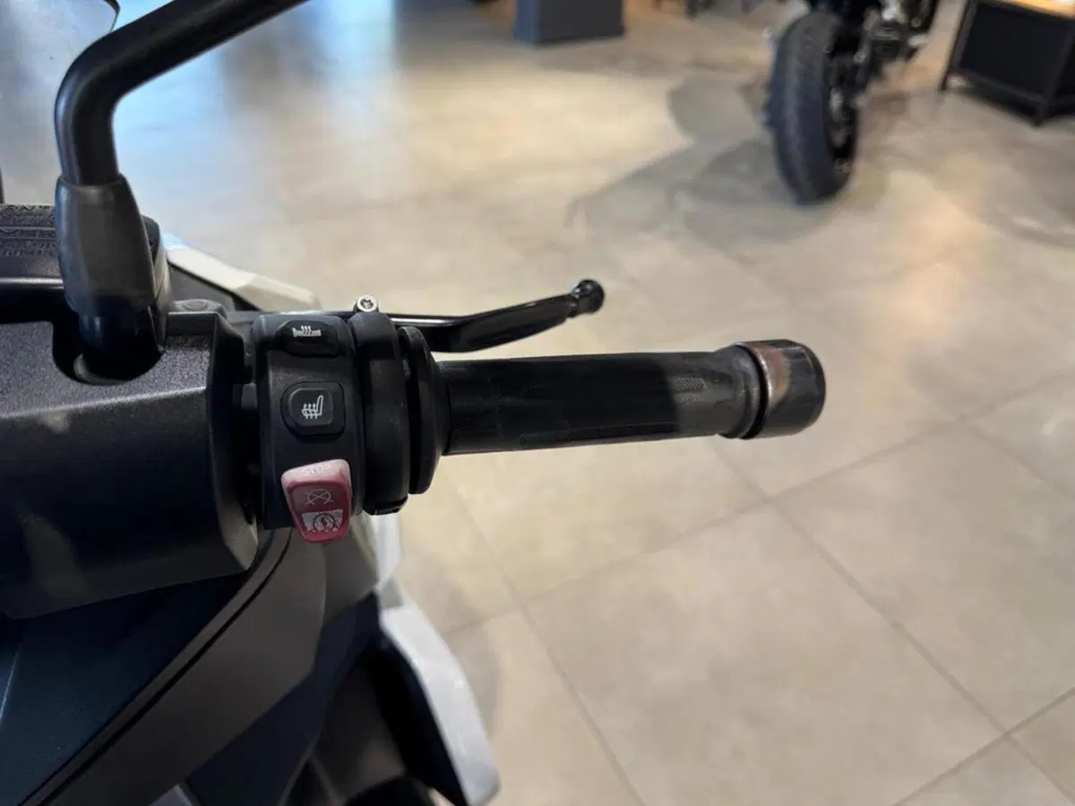 Bmw C 400 X (2018 - 20) (10)