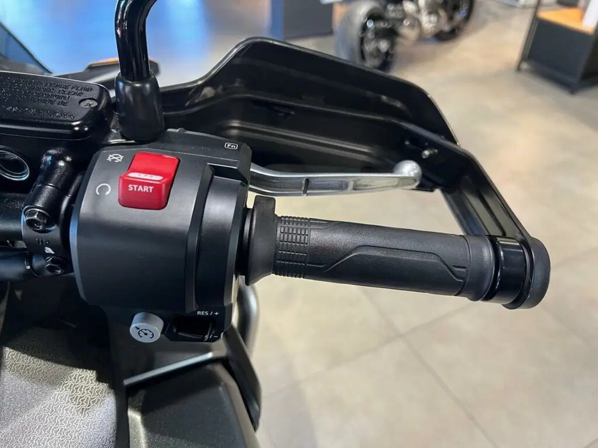 Honda Africa Twin CRF 1100L Adventure Sports Travel Edition (2022 - 23) (13)