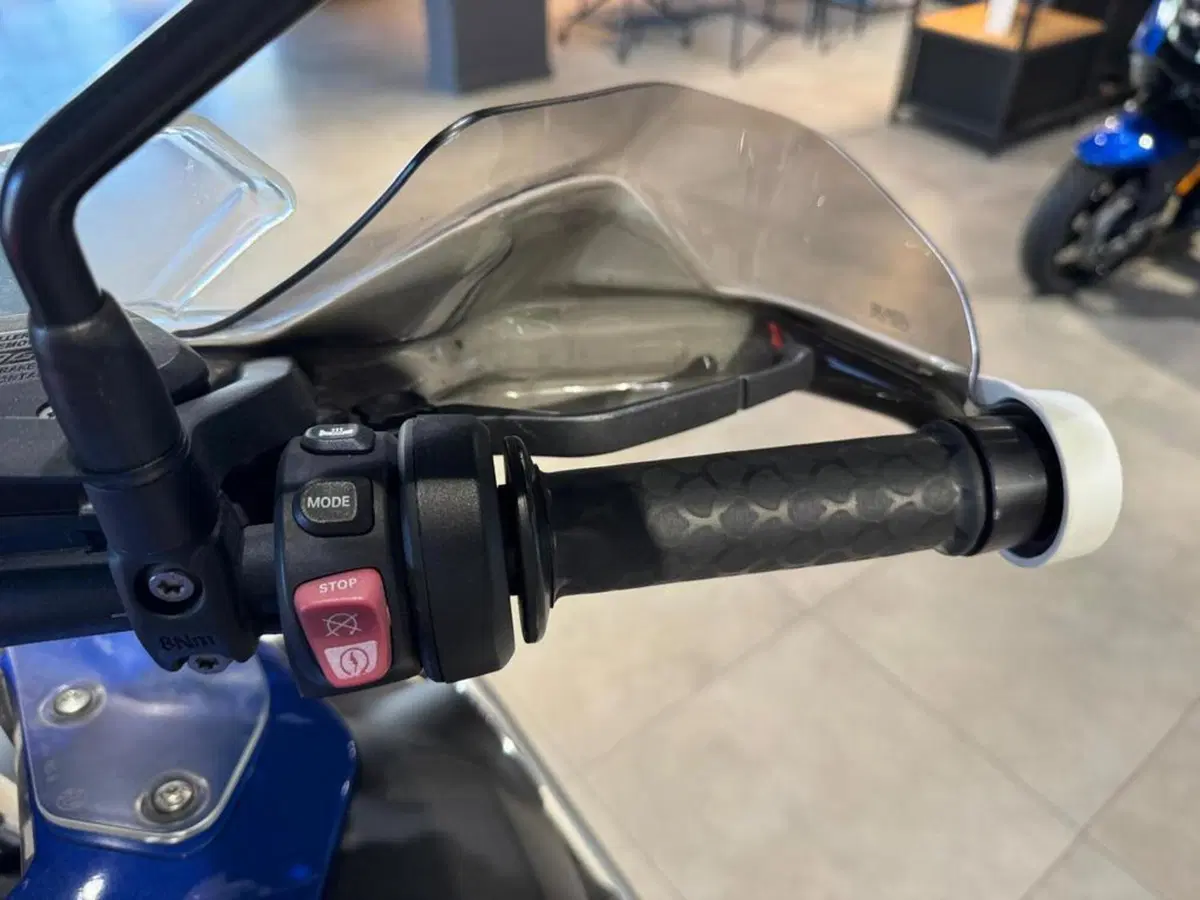 Bmw R 1250 GS Adventure (2019 - 20) (11)
