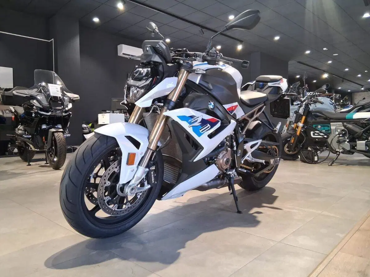 Bmw S 1000 R (2021 - 24) (4)
