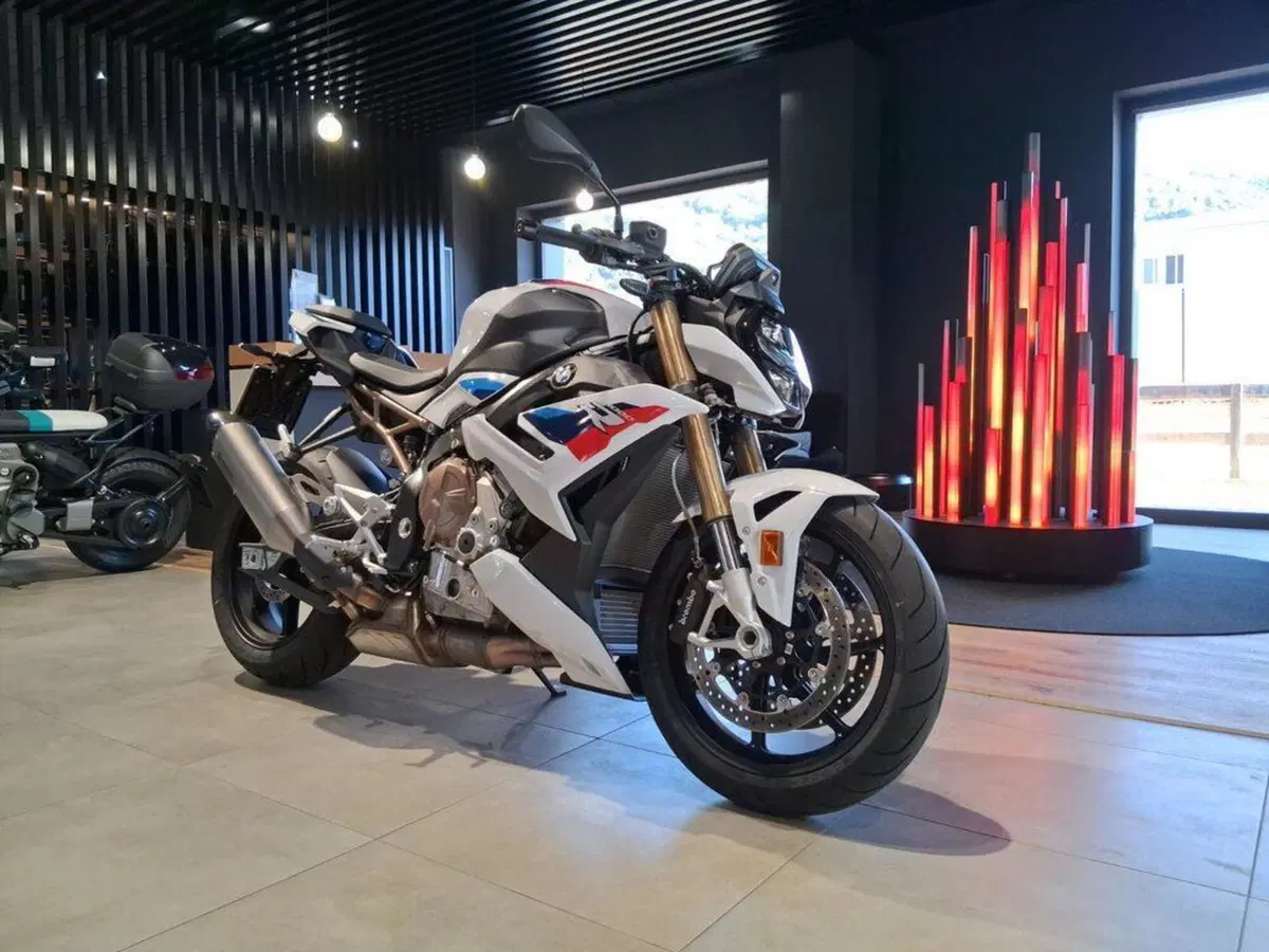 Bmw S 1000 R (2021 - 24) (2)