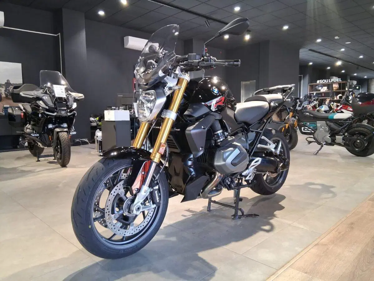 Bmw R 1250 R (2021 - 25) (4)