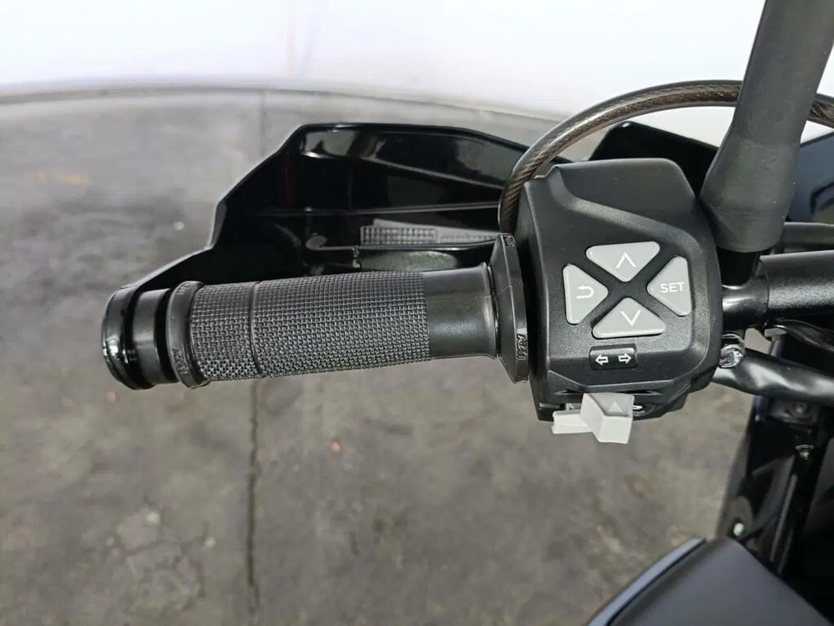 KTM 390 Adventure (2021) (7)