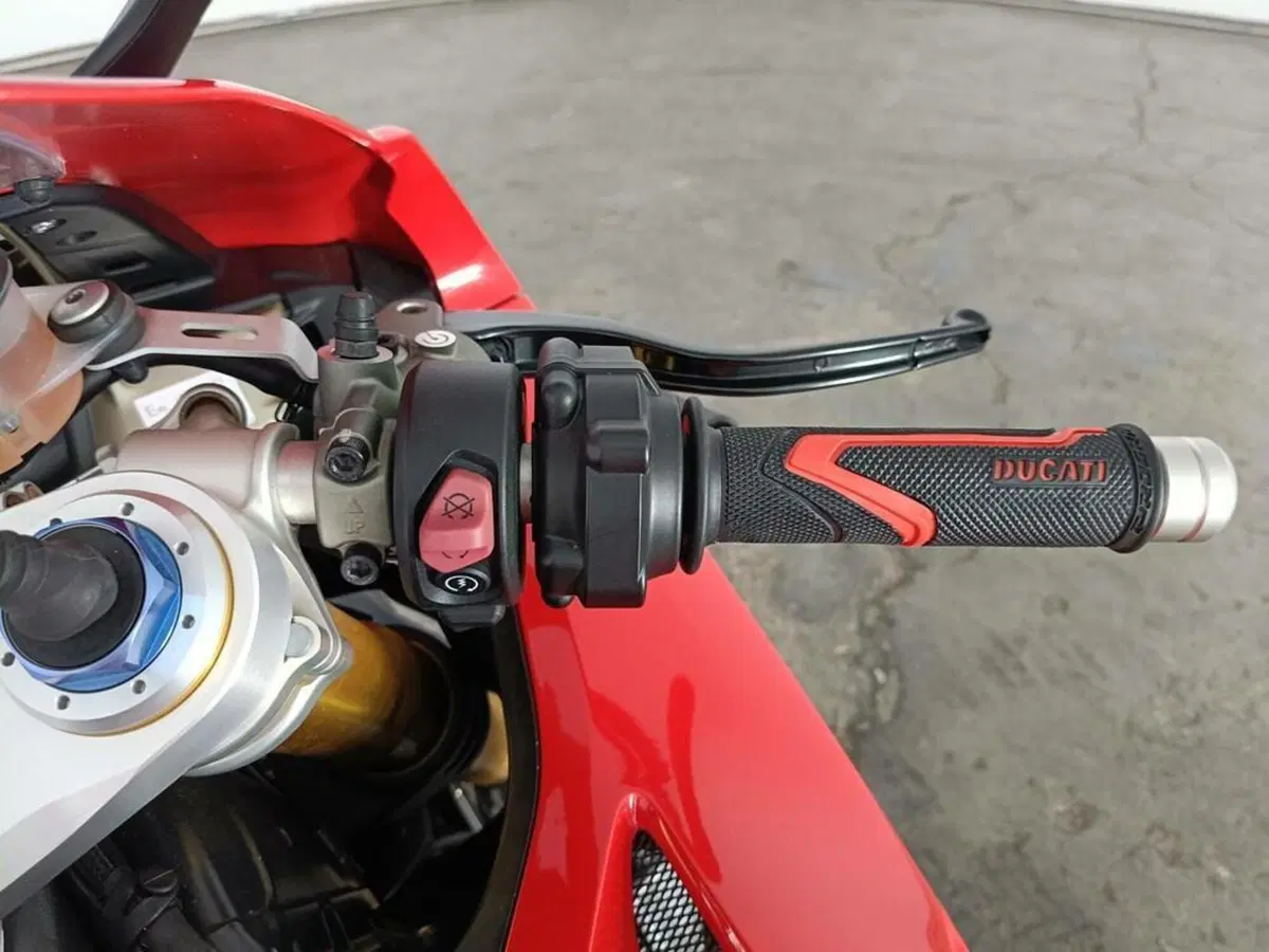Ducati Panigale V4 S 1100 (2020) (8)