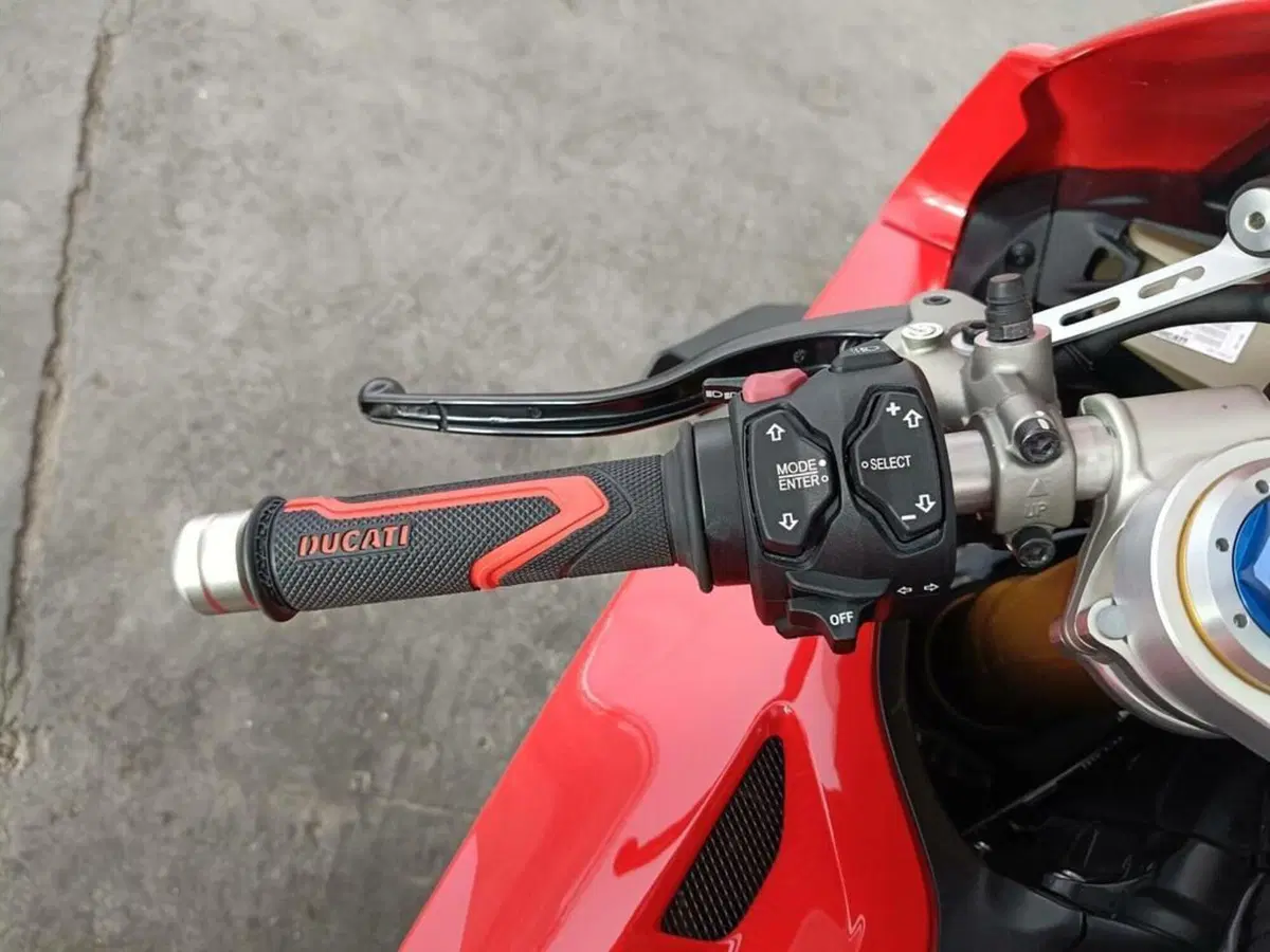 Ducati Panigale V4 S 1100 (2020) (6)