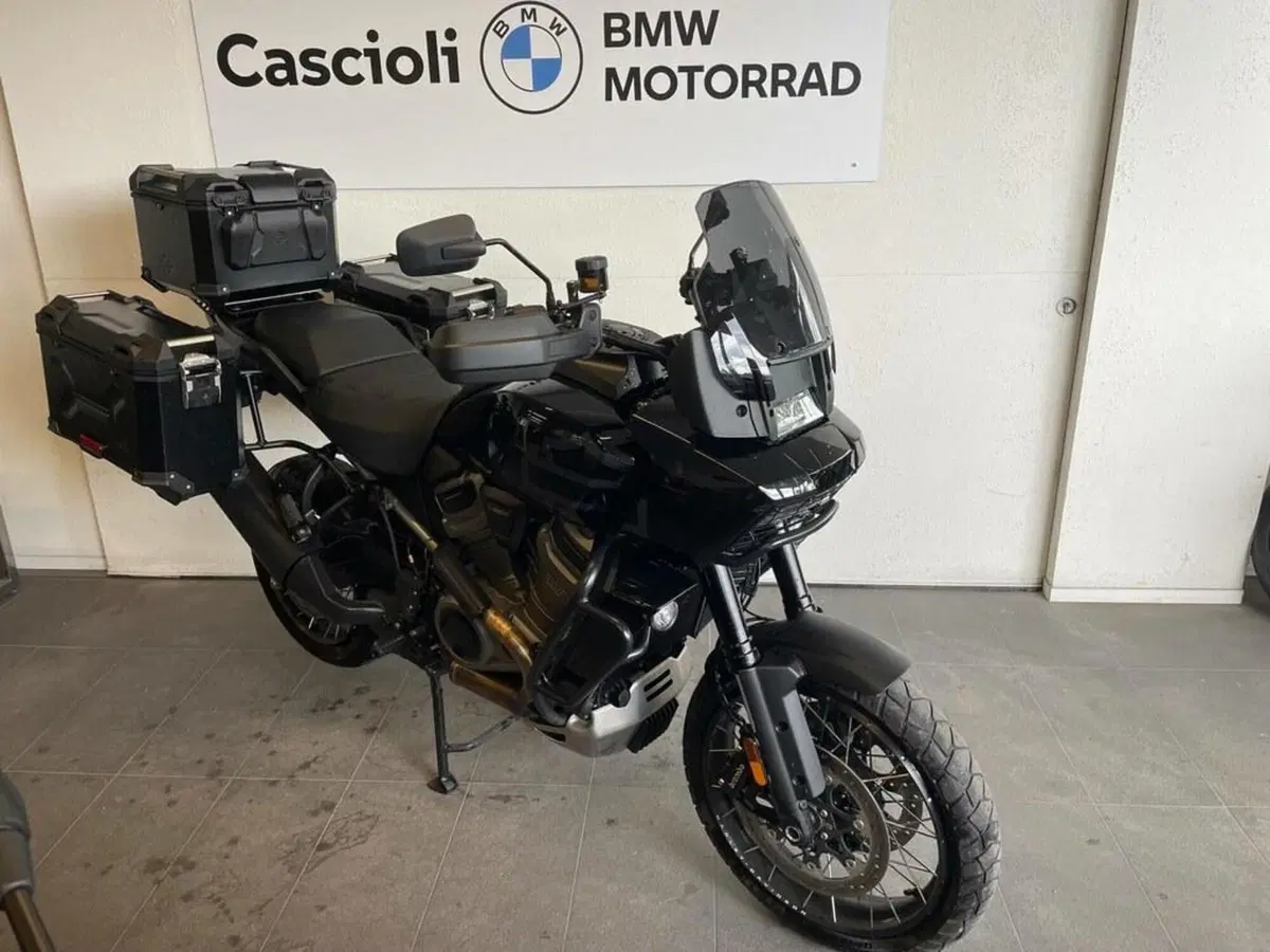 Harley-Davidson Pan America 1250 Special (2020 - 25) (3)