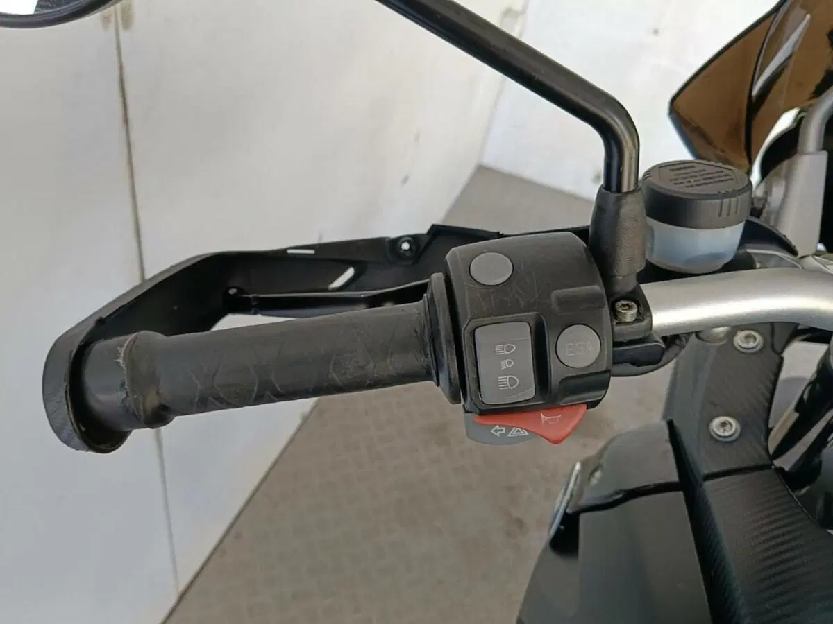 Bmw R 1200 GS (2008 - 09) (7)