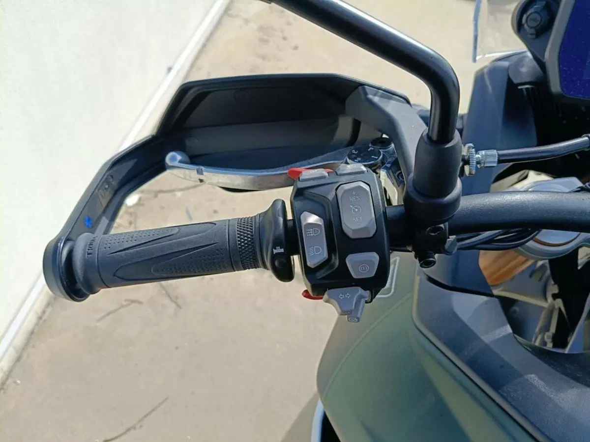 Triumph Tiger 900 Rally Pro (2020 - 23) (6)