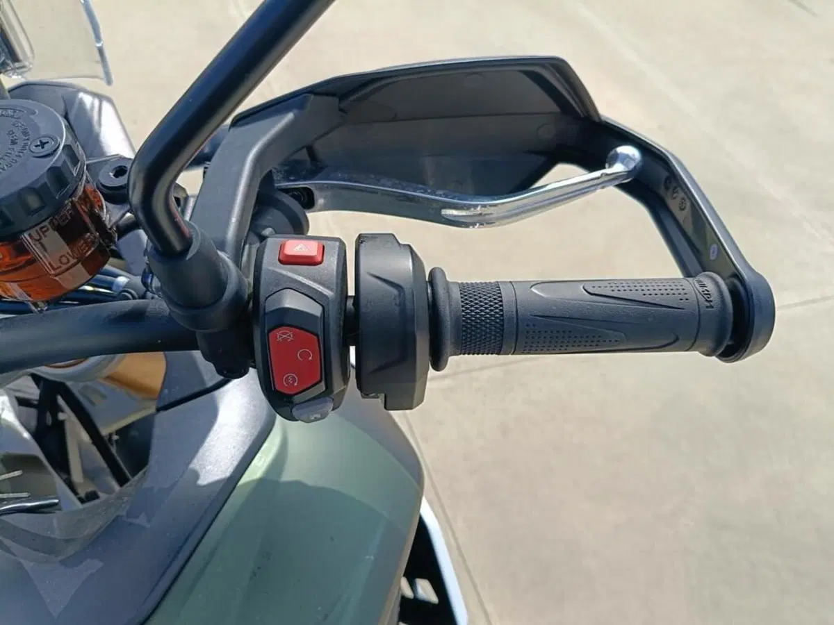 Triumph Tiger 900 Rally Pro (2020 - 23) (8)