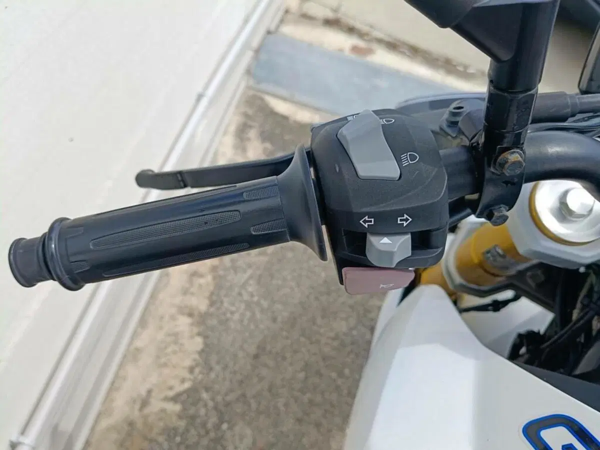 Bmw G 310 R (2016 - 20) (7)