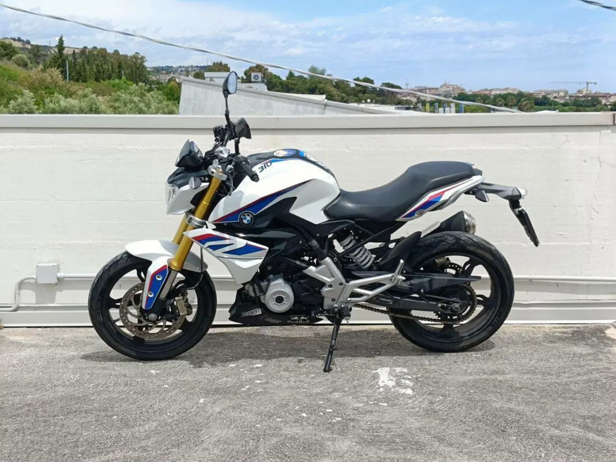 Bmw G 310 R (2016 - 20) (6)