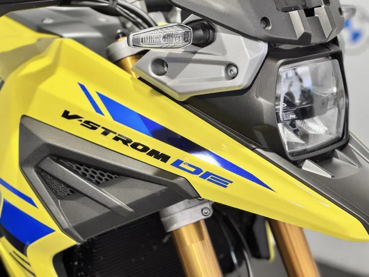 Suzuki V-Strom 1050SE (2023 - 24) (10)