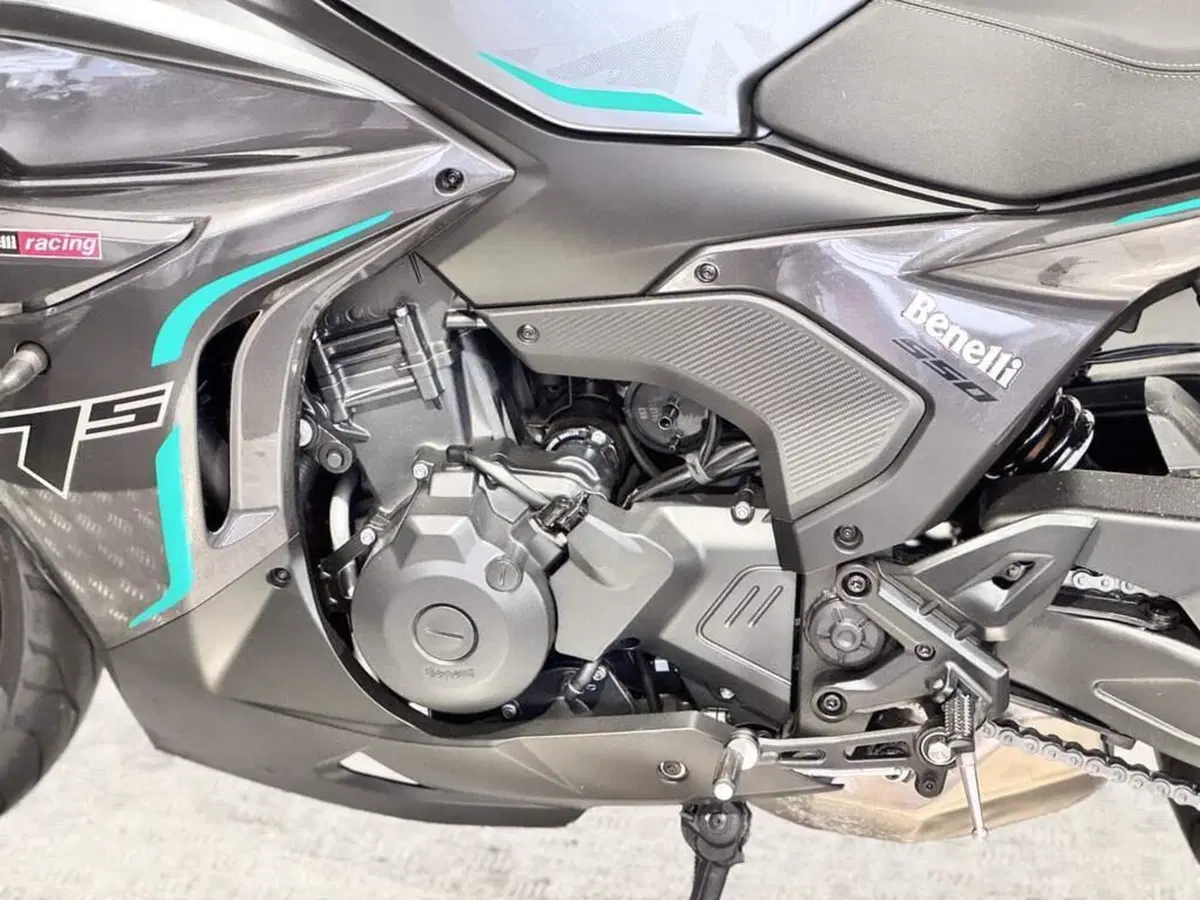 Benelli Tornado 550 (2025 - 26) (4)