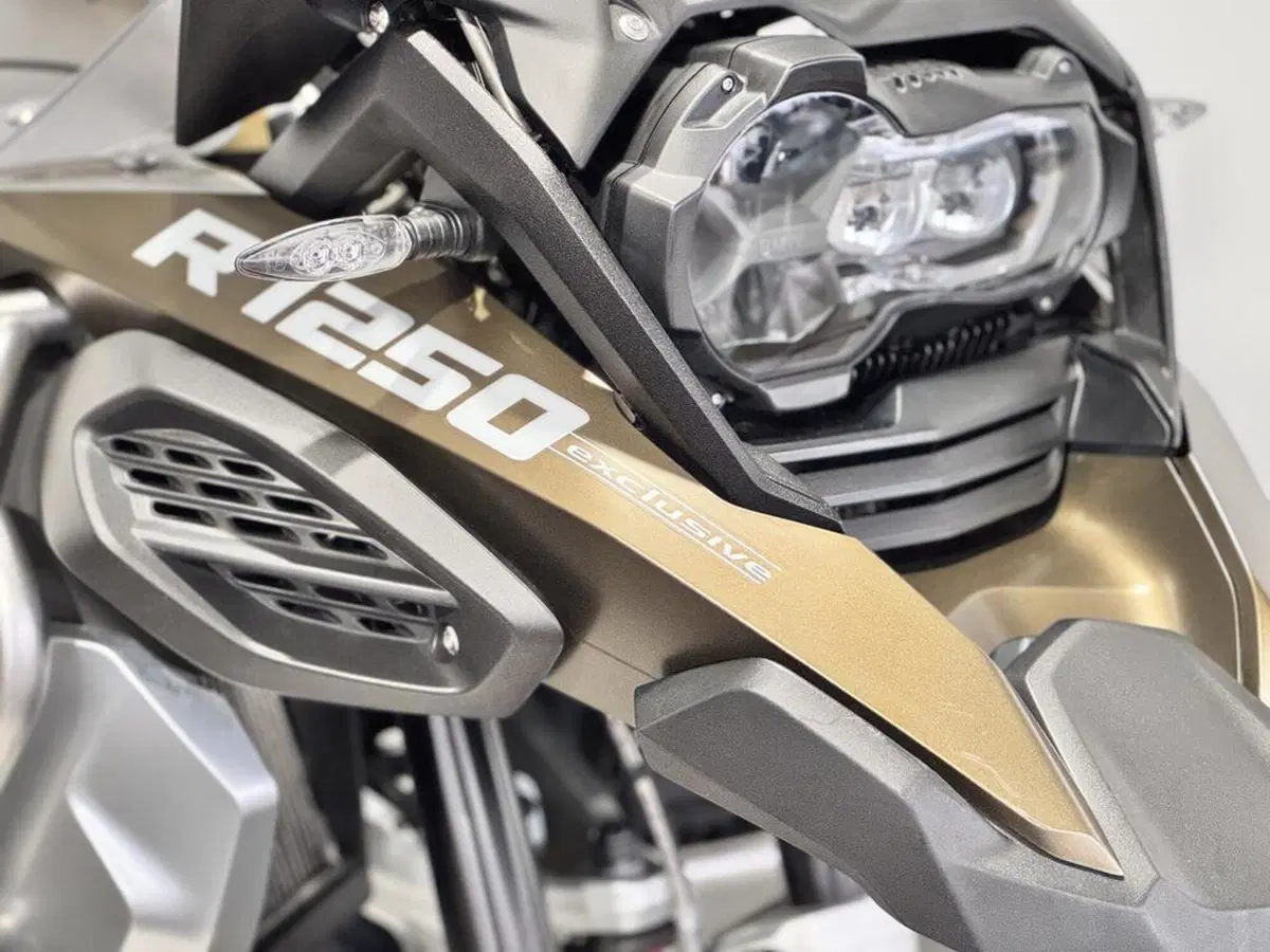 Bmw R 1250 GS Adventure (2019 - 20) (10)