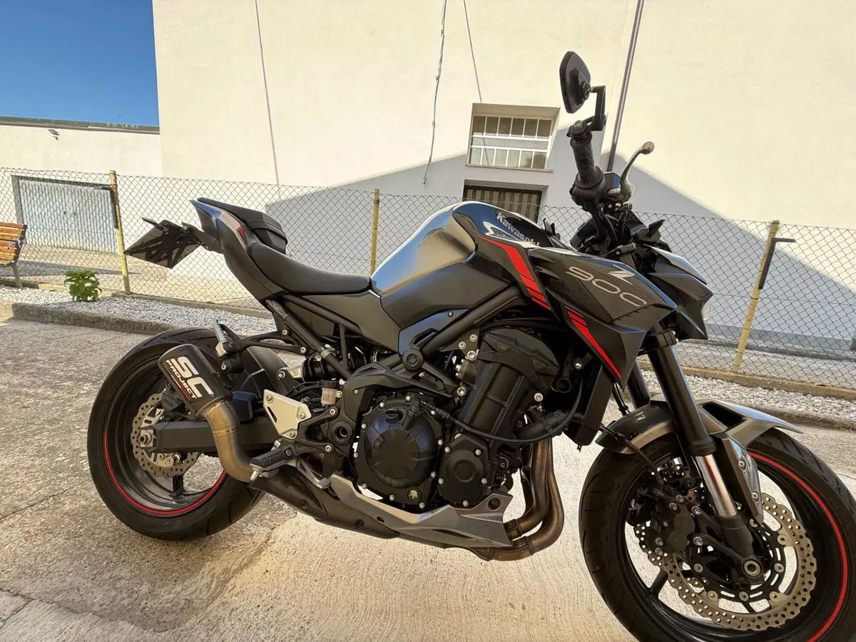 Kawasaki Z 900 (2021 - 24) (3)