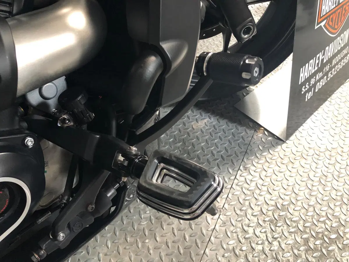 Harley-Davidson Sportster S (2025 - 26) (2)